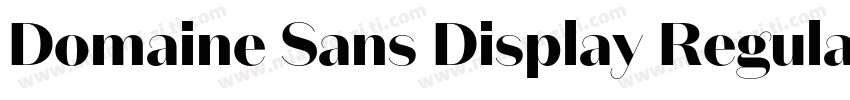 Domaine Sans Display Regula字体转换